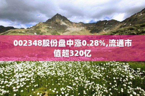 002348股份盘中涨0.28%,流通市值超320亿