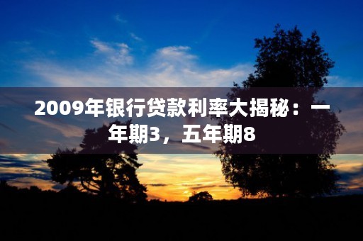 2009年银行贷款利率大揭秘：一年期3，五年期8