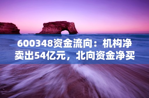 600348资金流向：机构净卖出54亿元，北向资金净买入55723万元！