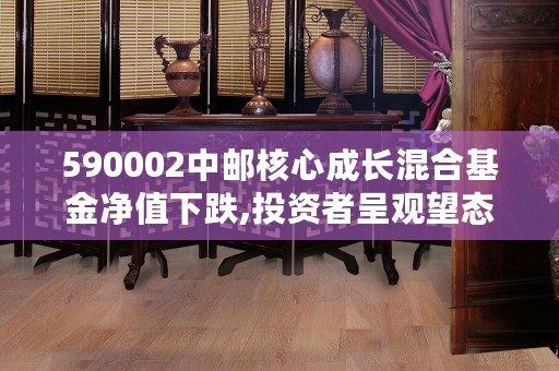 590002中邮核心成长混合基金净值下跌,投资者呈观望态度