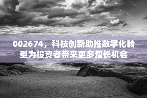 002674，科技创新助推数字化转型为投资者带来更多增长机会