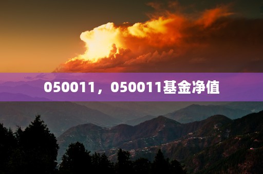 050011，050011基金净值