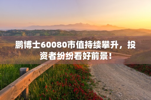 鹏博士60080市值持续攀升，投资者纷纷看好前景！