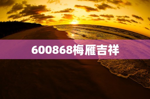 600868梅雁吉祥