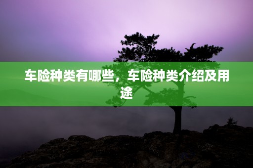 车险种类有哪些，车险种类介绍及用途