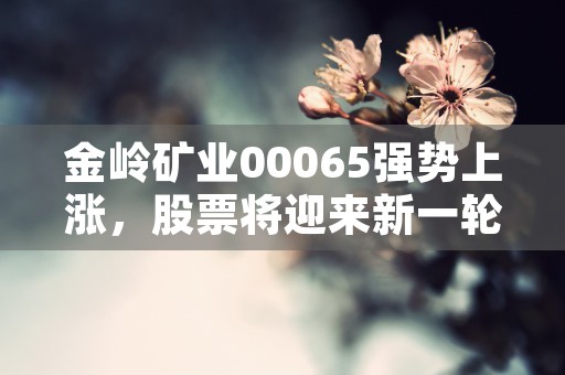 金岭矿业00065强势上涨，股票将迎来新一轮涨势！