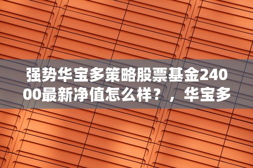 强势华宝多策略股票基金24000最新净值怎么样？，华宝多策略基金今日k线图