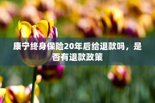 康宁终身保险20年后给退款吗，是否有退款政策