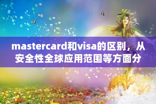 mastercard和visa的区别，从安全性全球应用范围等方面分析不同之处