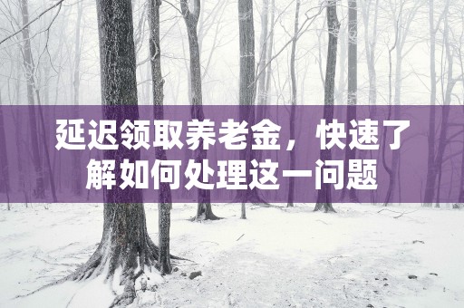 延迟领取养老金，快速了解如何处理这一问题