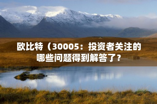 欧比特（30005：投资者关注的哪些问题得到解答了？