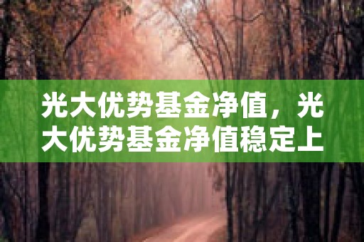 光大优势基金净值，光大优势基金净值稳定上涨成为理财首选