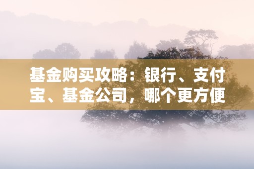 基金购买攻略：银行、支付宝、基金公司，哪个更方便？，购买银行基金入门基础知识