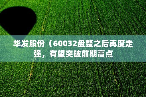 240007，240007最新款式大揭秘赶紧看过来