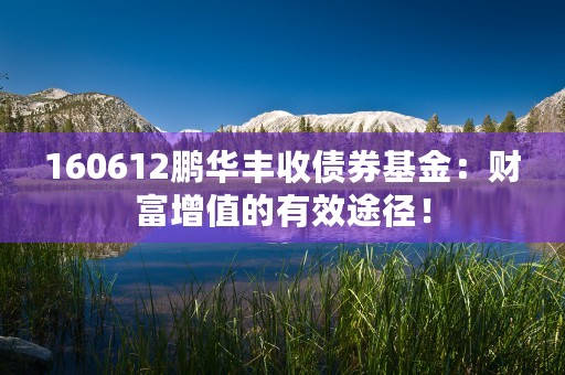 阳光人寿保险公司官方网站，了解更多关于我们的信息