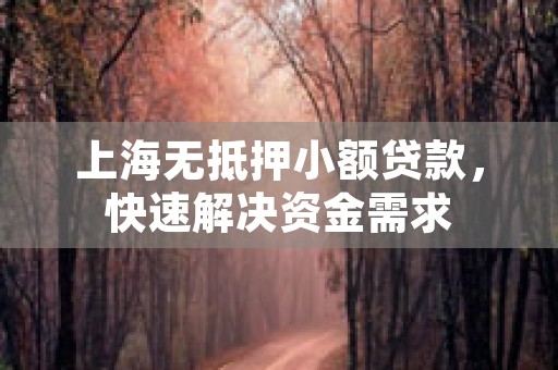 上海无抵押小额贷款，快速解决资金需求