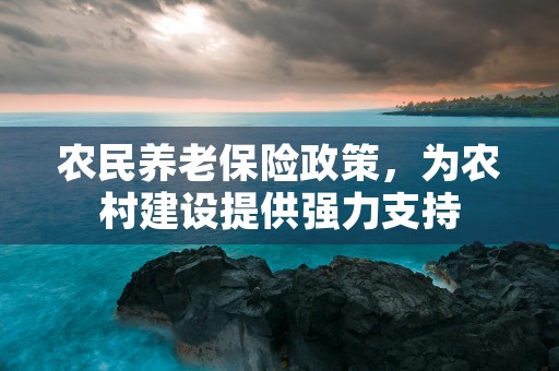 农民养老保险政策，为农村建设提供强力支持