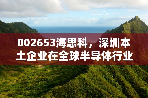 002653海思科，深圳本土企业在全球半导体行业中的领先地位