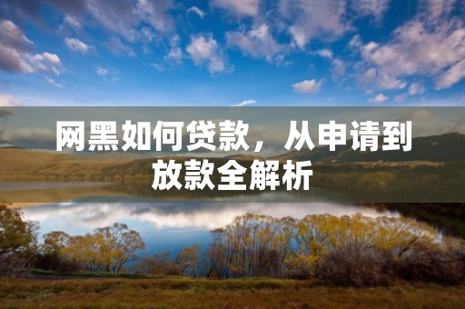 网黑如何贷款，从申请到放款全解析