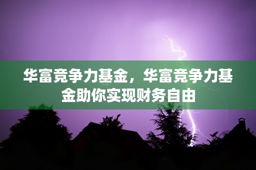 华富竞争力基金，华富竞争力基金助你实现财务自由