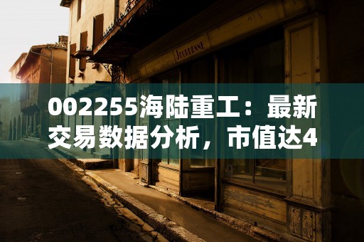 002255海陆重工：最新交易数据分析，市值达487亿元