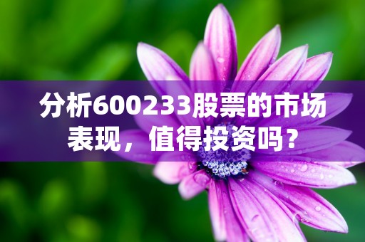 分析600233股票的市场表现，值得投资吗？