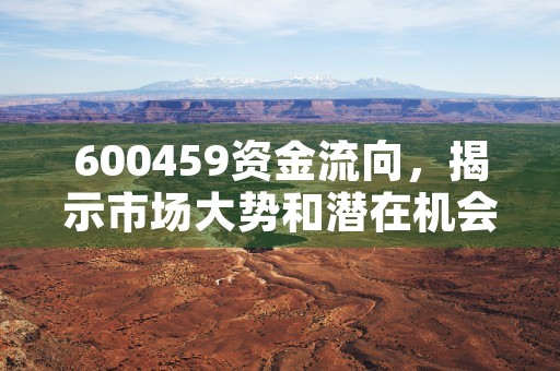 基金净值查询20000实时更新，投资者关注，基金净值查询202003