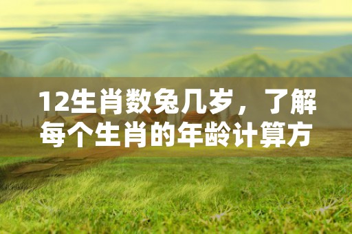 12生肖兔困几月，揭秘兔子懒散的时间表