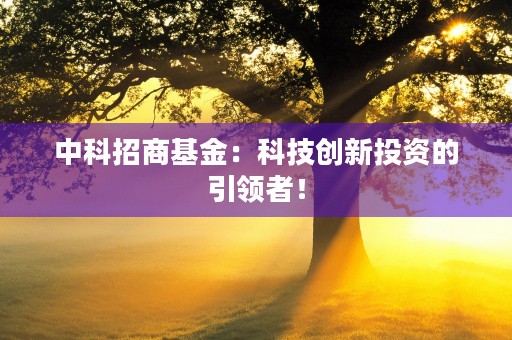 中科招商基金：科技创新投资的引领者！