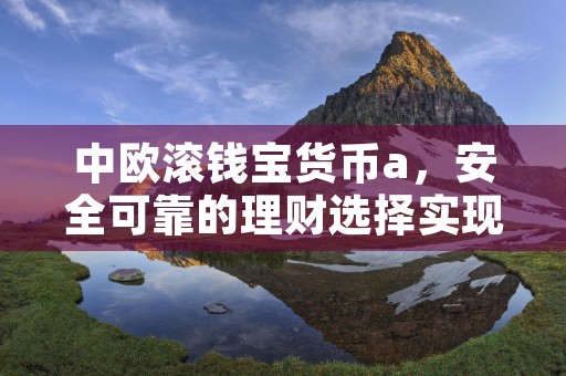 中欧滚钱宝货币a，安全可靠的理财选择实现资产升值计划，中欧滚钱宝货币a怎么在余额宝里取消