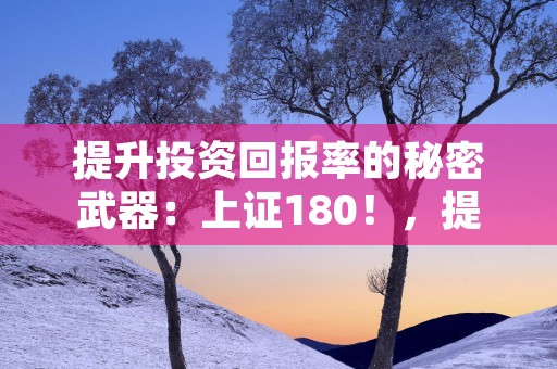 提升投资回报率的秘密武器：上证180！，提升投资回报率的方法