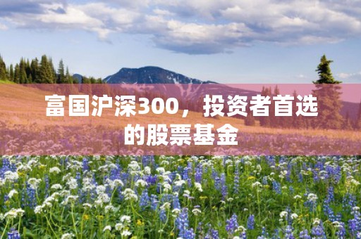 富国沪深300，投资者首选的股票基金