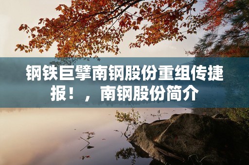 钢铁巨擘南钢股份重组传捷报！，南钢股份简介