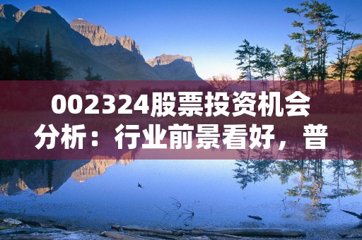 002324股票投资机会分析：行业前景看好，普利特或成绩点亮投资者未来！，股票002341