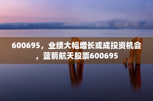 600695，业绩大幅增长或成投资机会，蓝箭航天股票600695