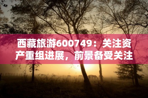 西藏旅游600749：关注资产重组进展，前景备受关注！，西藏旅游600749最新消息