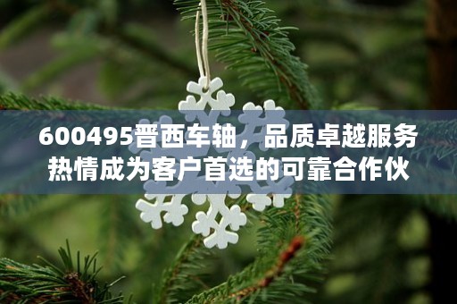 600495晋西车轴，品质卓越服务热情成为客户首选的可靠合作伙伴