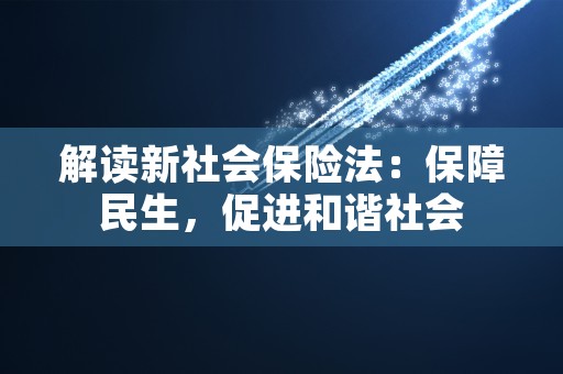 解读新社会保险法：保障民生，促进和谐社会