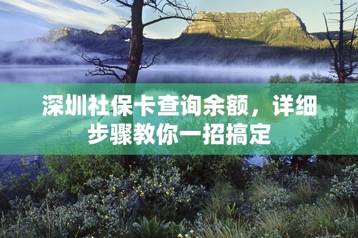 深圳社保卡查询余额，详细步骤教你一招搞定