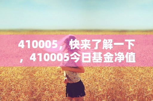 410005，快来了解一下，410005今日基金净值