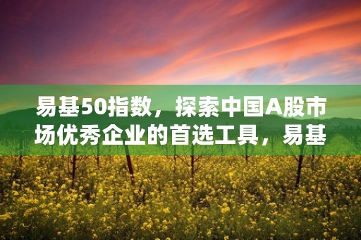 易基50指数，探索中国A股市场优秀企业的首选工具，易基50指数a110003估值