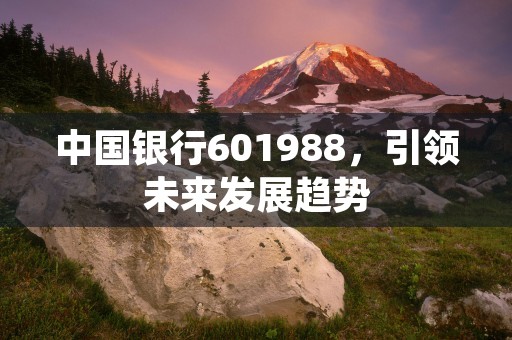 中国银行601988，引领未来发展趋势