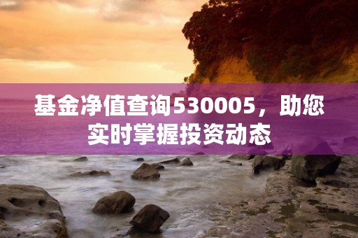 基金净值查询530005，助您实时掌握投资动态