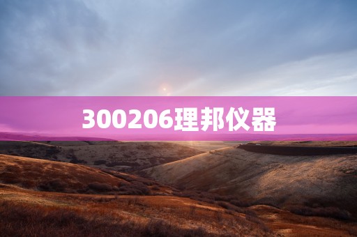 300206理邦仪器