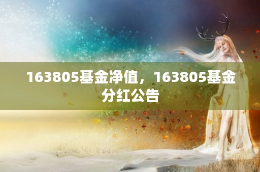 163805基金净值，163805基金分红公告