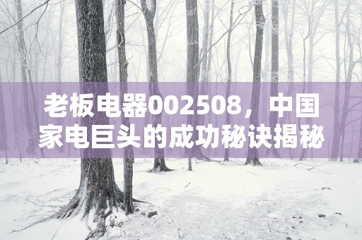 老板电器002508，中国家电巨头的成功秘诀揭秘