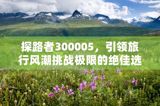 探路者300005，引领旅行风潮挑战极限的绝佳选择，探路者300005股