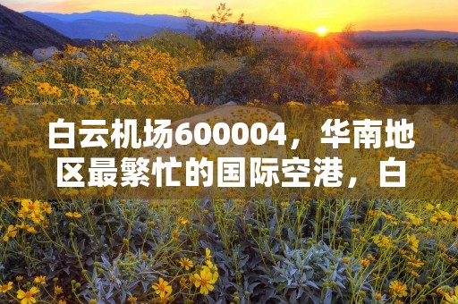 白云机场600004，华南地区最繁忙的国际空港，白云机场6004.h是白云机场吗