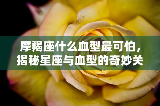 梦到蛇是什么寓意，探索潜意识中蛇所代表的隐喻含义