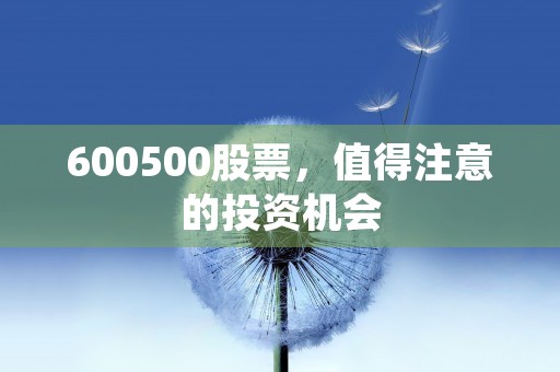 300170汉得信息，市场表现产品特点和竞争优势